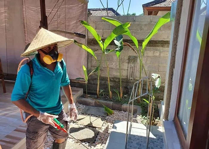 Villa Victoria Bali Canggu (Bali)